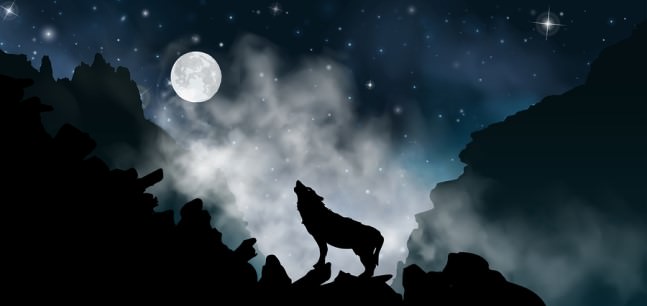 howl at the moon day and night
