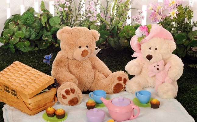 teddy bears picnic day