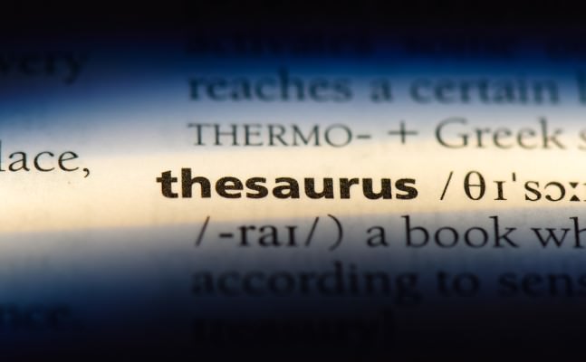 thesaurus day