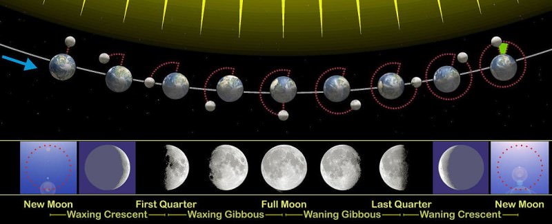 Moonrise, Moonset, and Moon Phase in Sartell