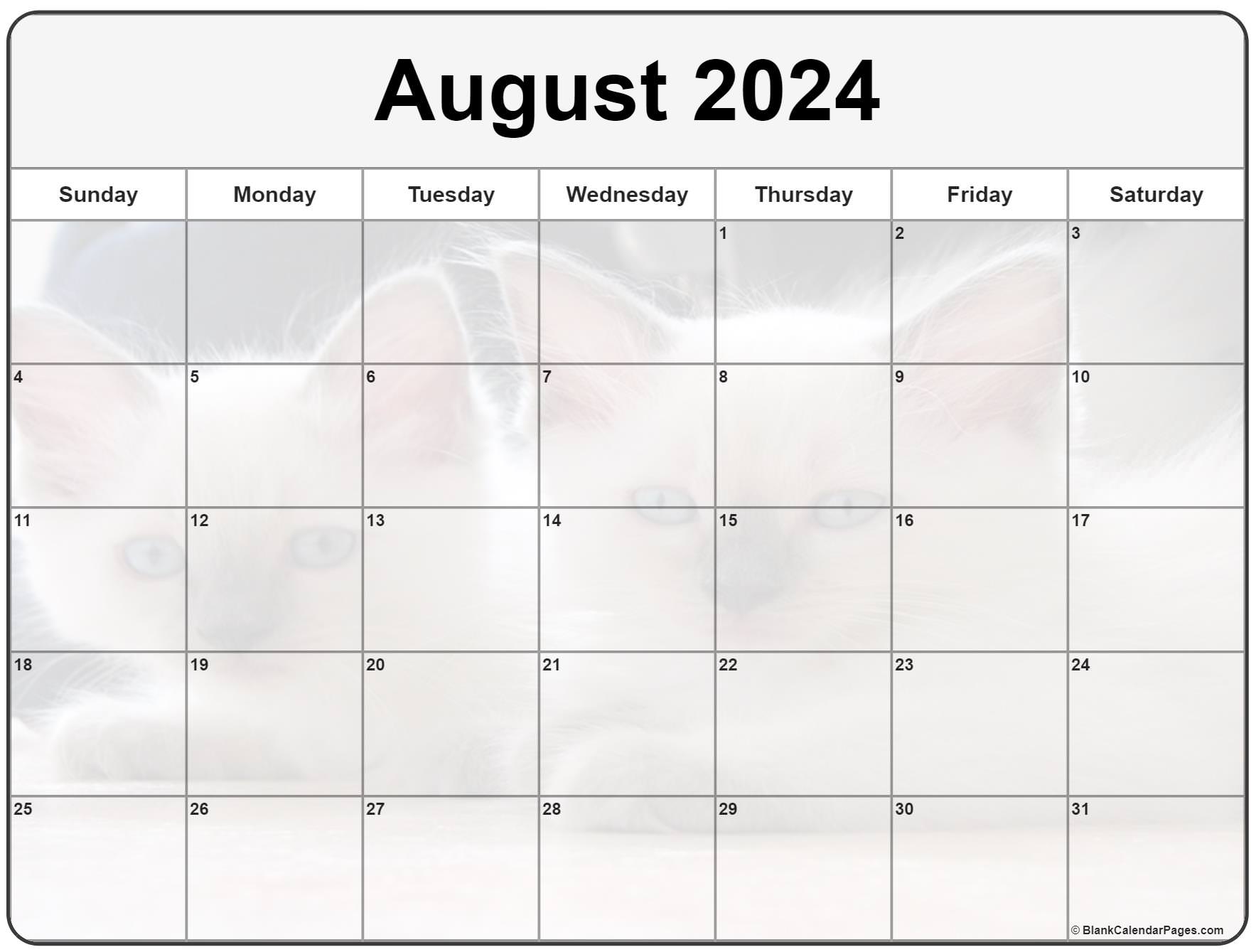 Collection of August 2022 photo calendars with image filters.