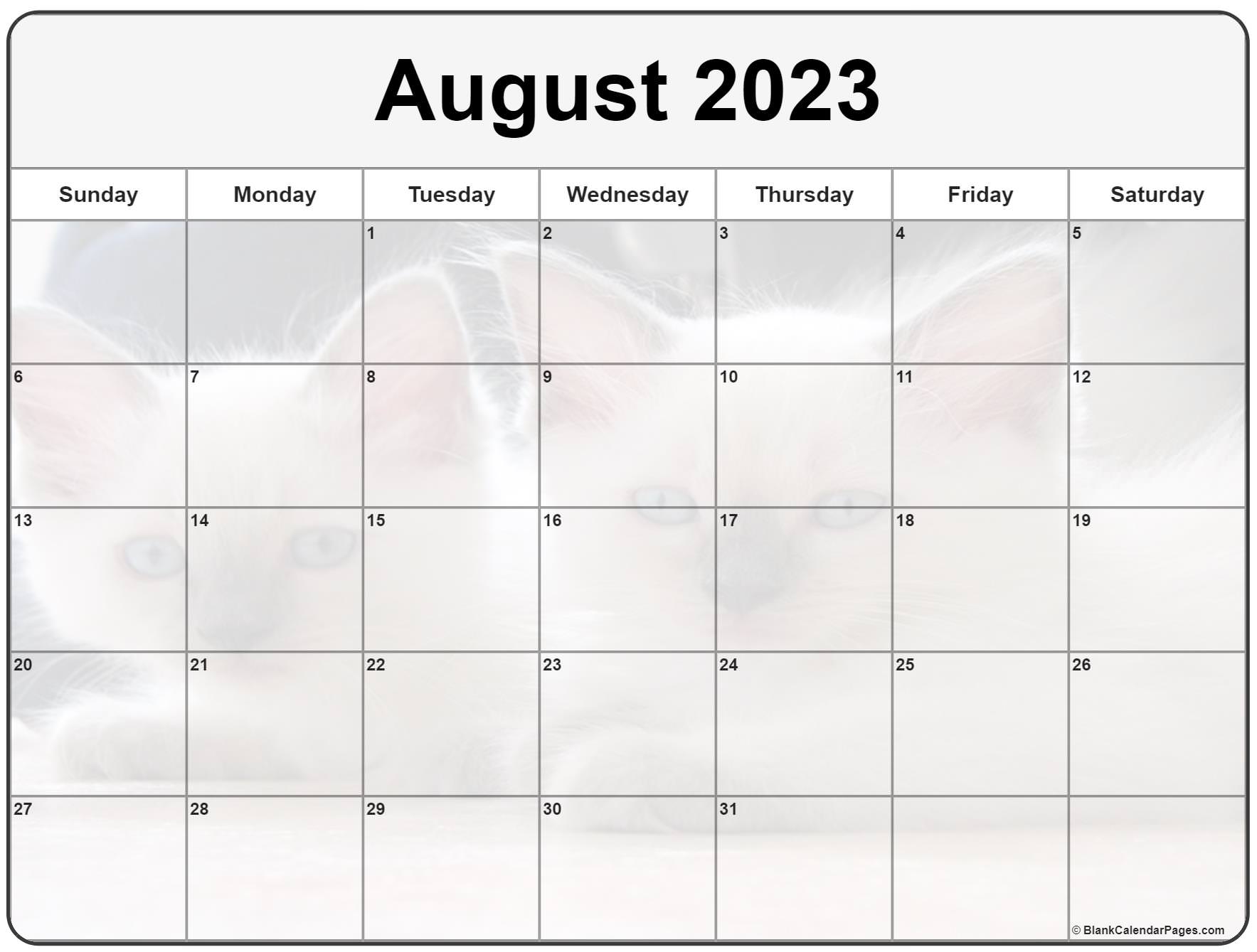 Collection of August 2023 photo calendars with image filters.