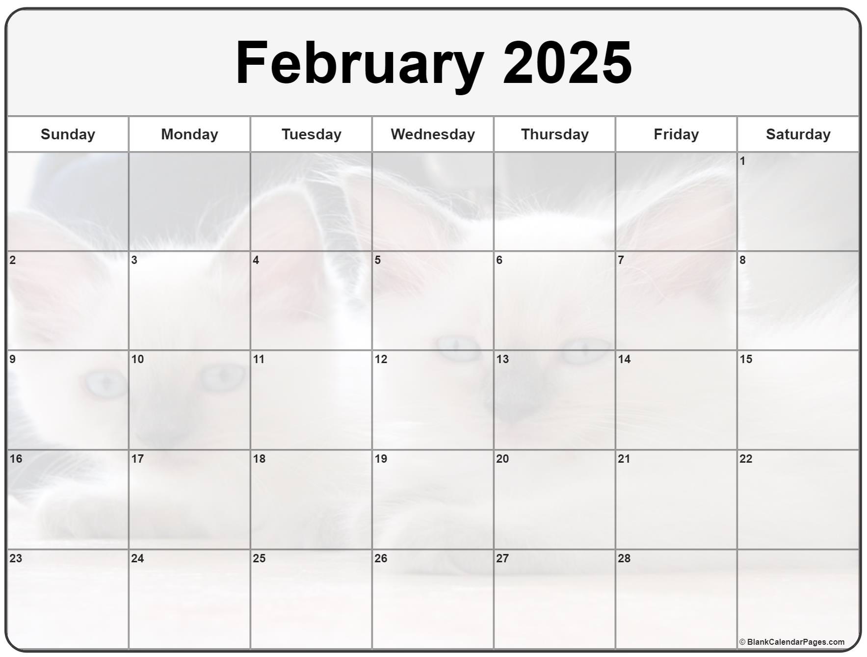 February 2025 Calendar Printable Cute Cat Exam Winne Matilde