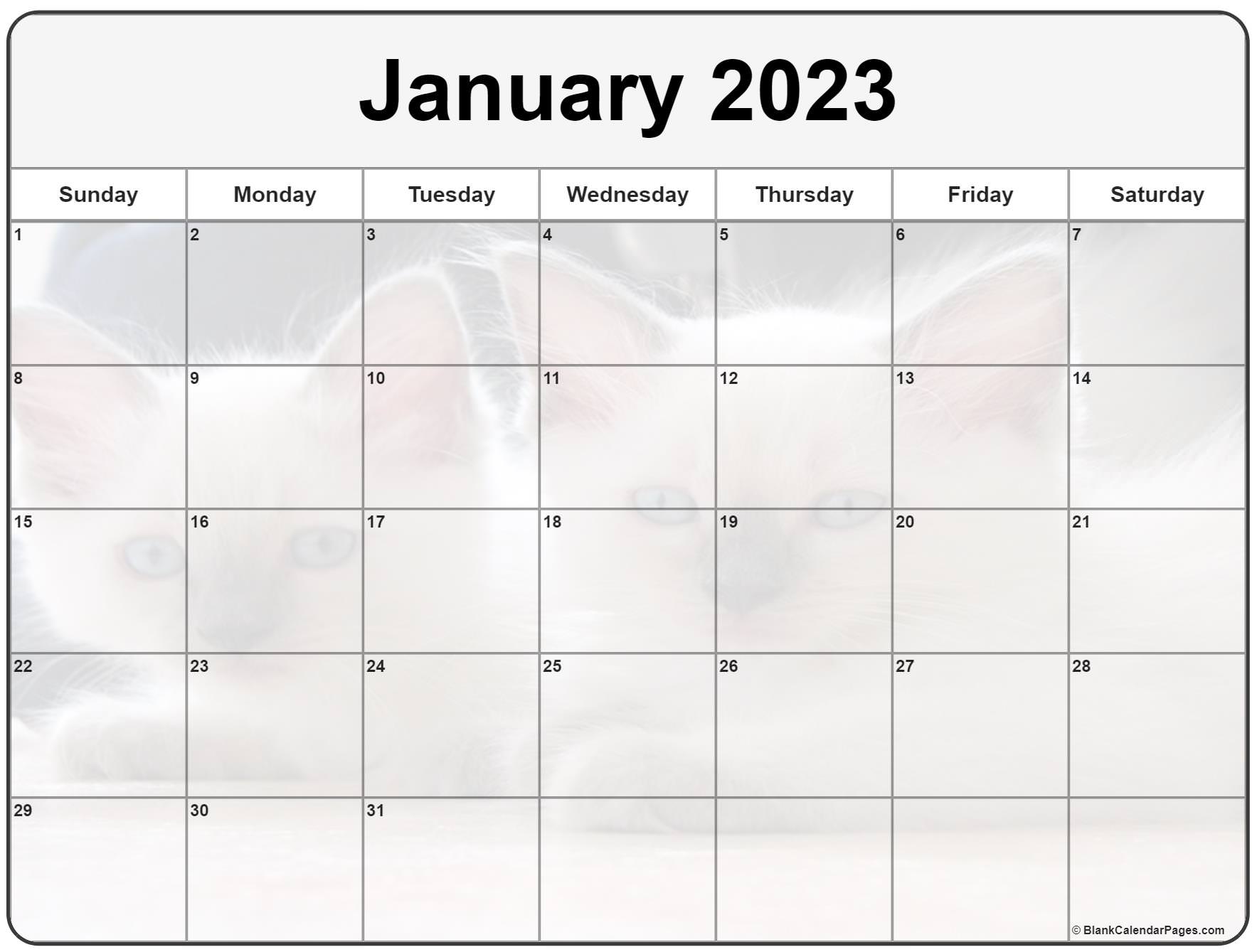 Collection of January 2023 photo calendars with image filters.