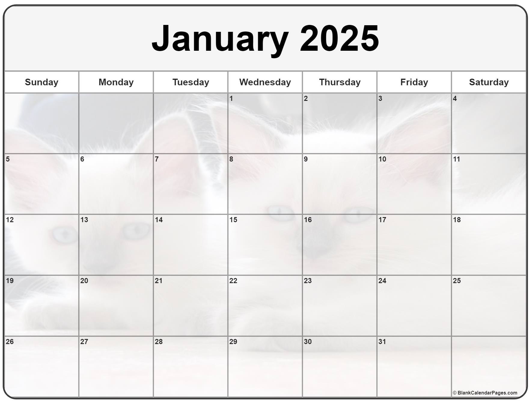 Free Cat Calendar 2025