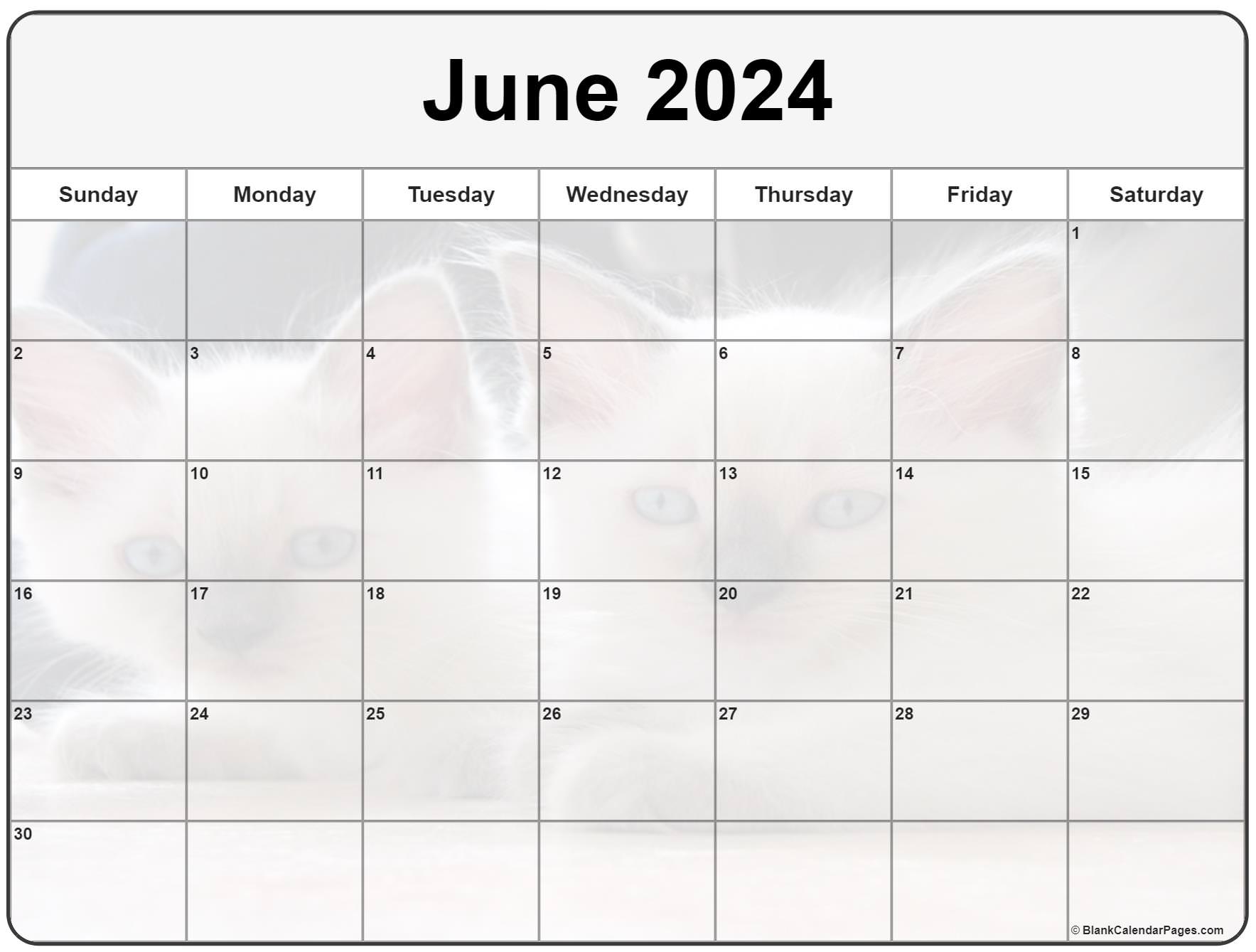Collection of June 2022 photo calendars with image filters.