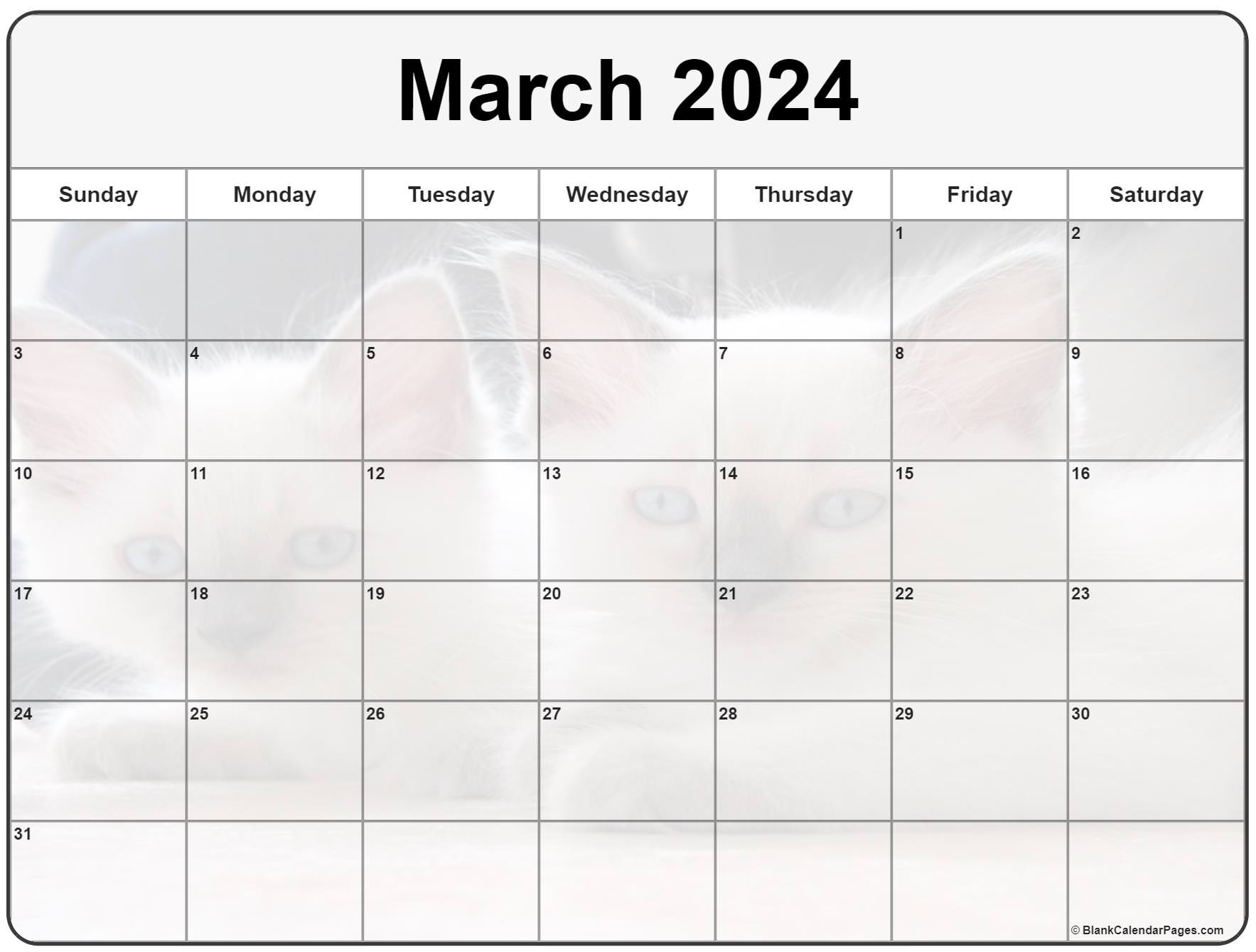 Collection of March 2023 photo calendars with image filters.