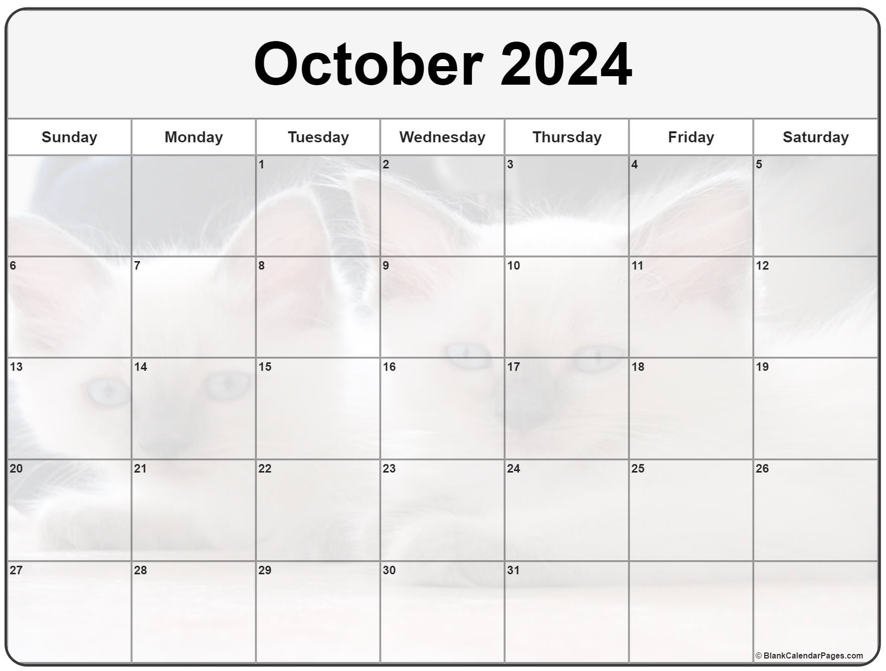 Collection of October 2024 photo calendars with image filters.