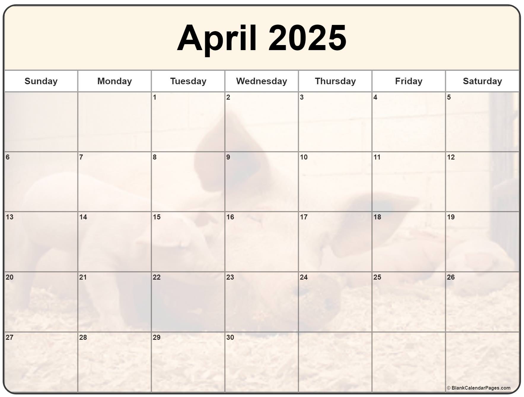 Collection of April 2025 photo calendars with image filters.