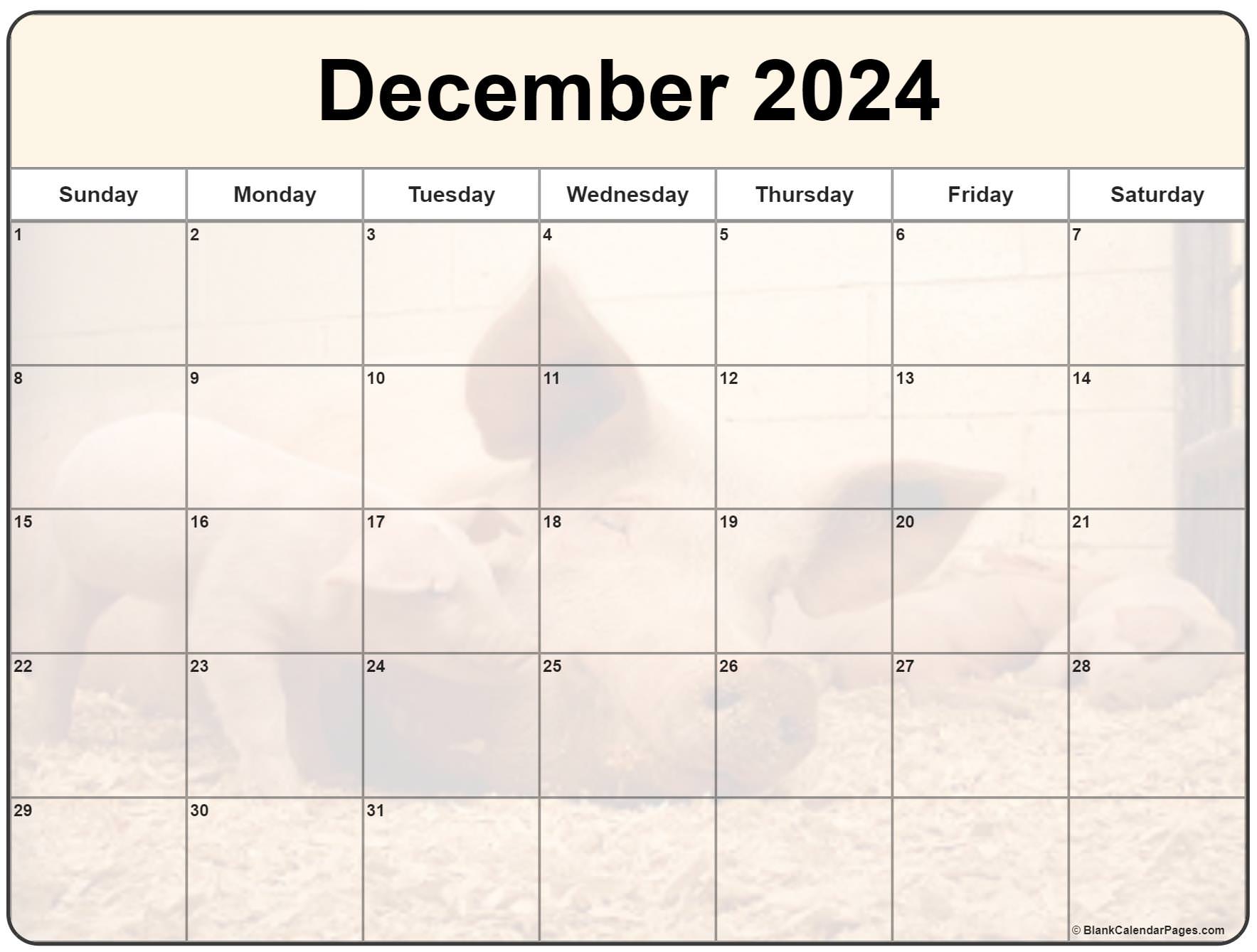 Collection of December 2024 photo calendars with image filters 