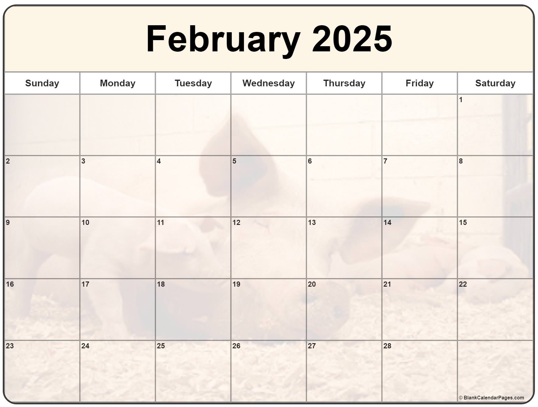 Collection of February 2025 photo calendars with image filters.