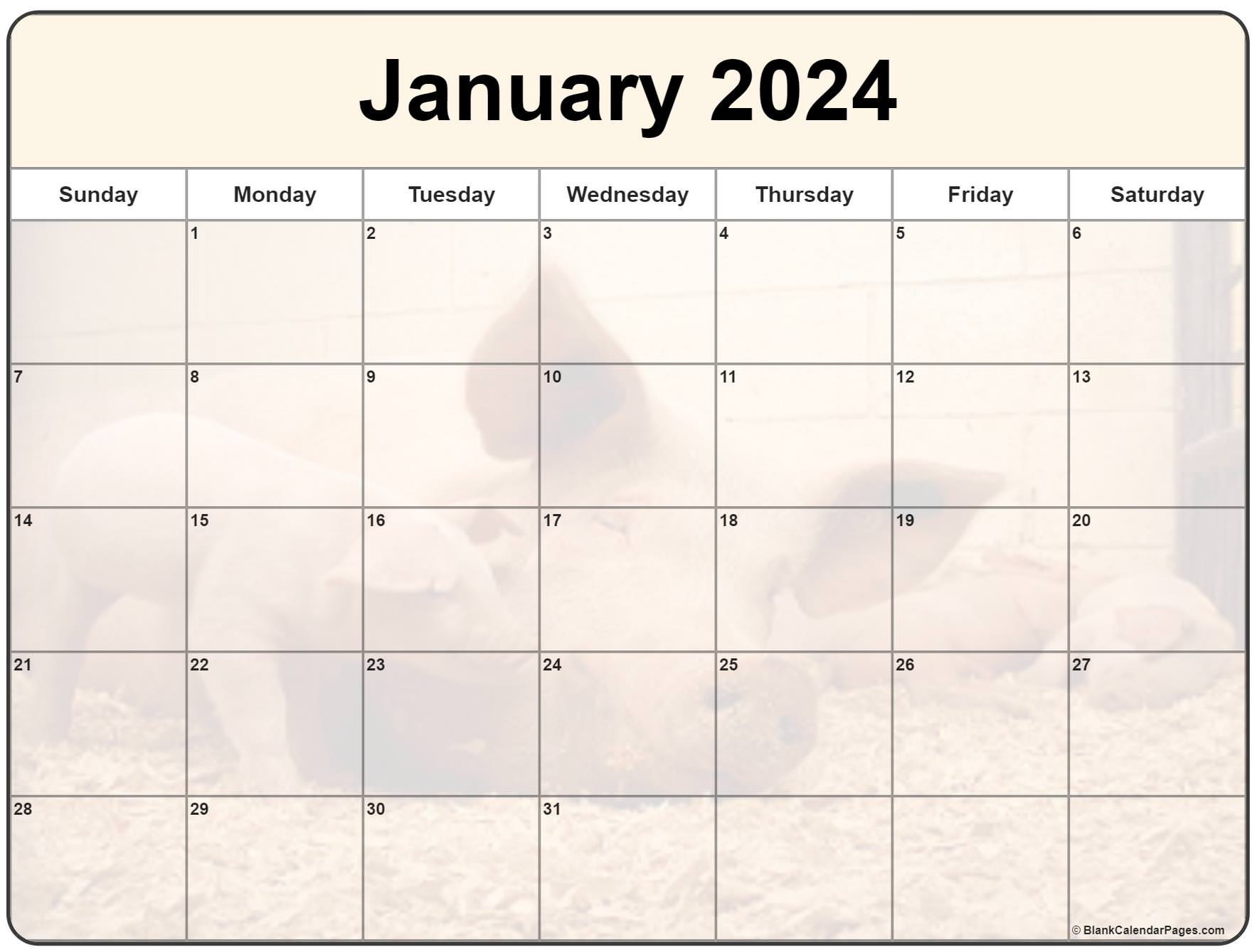 Collection Of January 2024 Photo Calendars With Image Filters 
