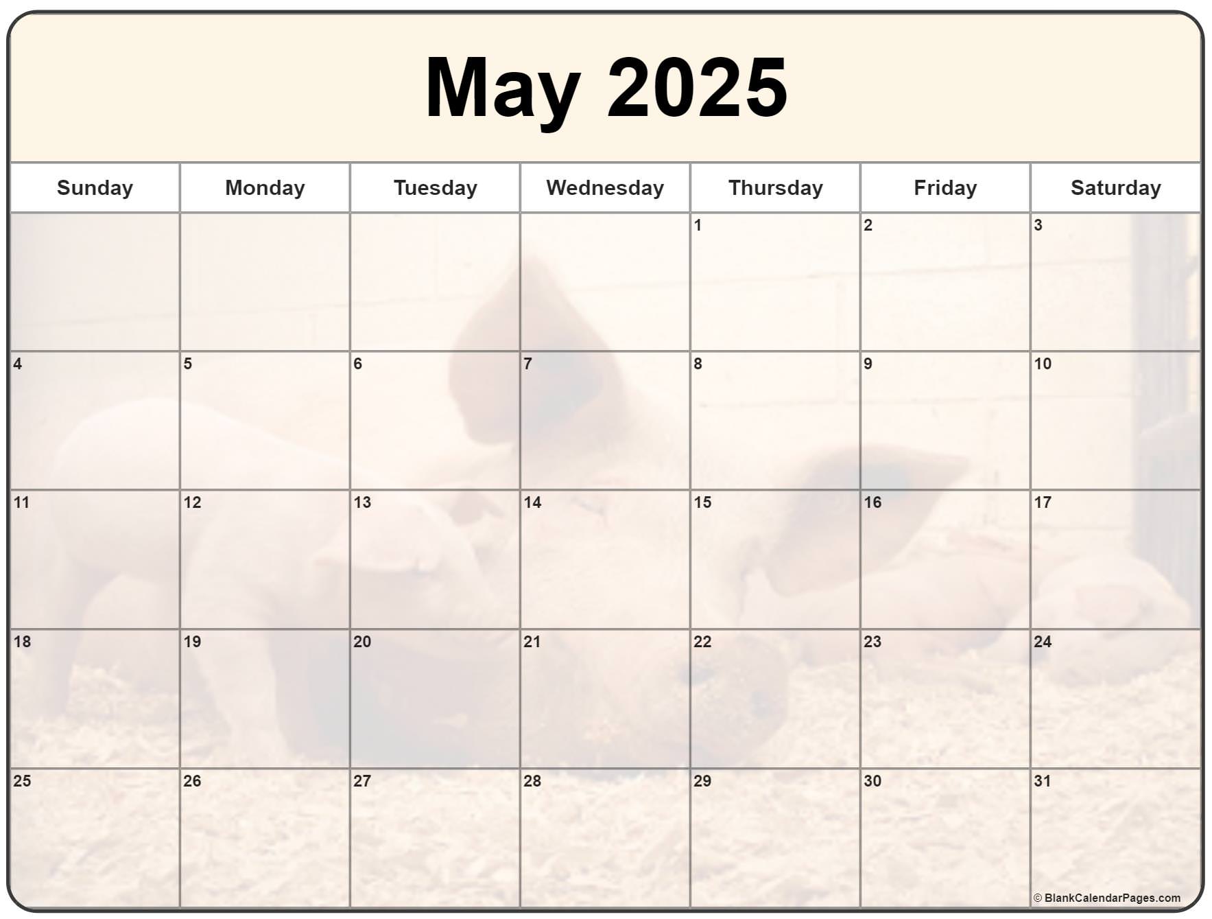 May 2025 Calendar Cute Geoffrey T Hamby