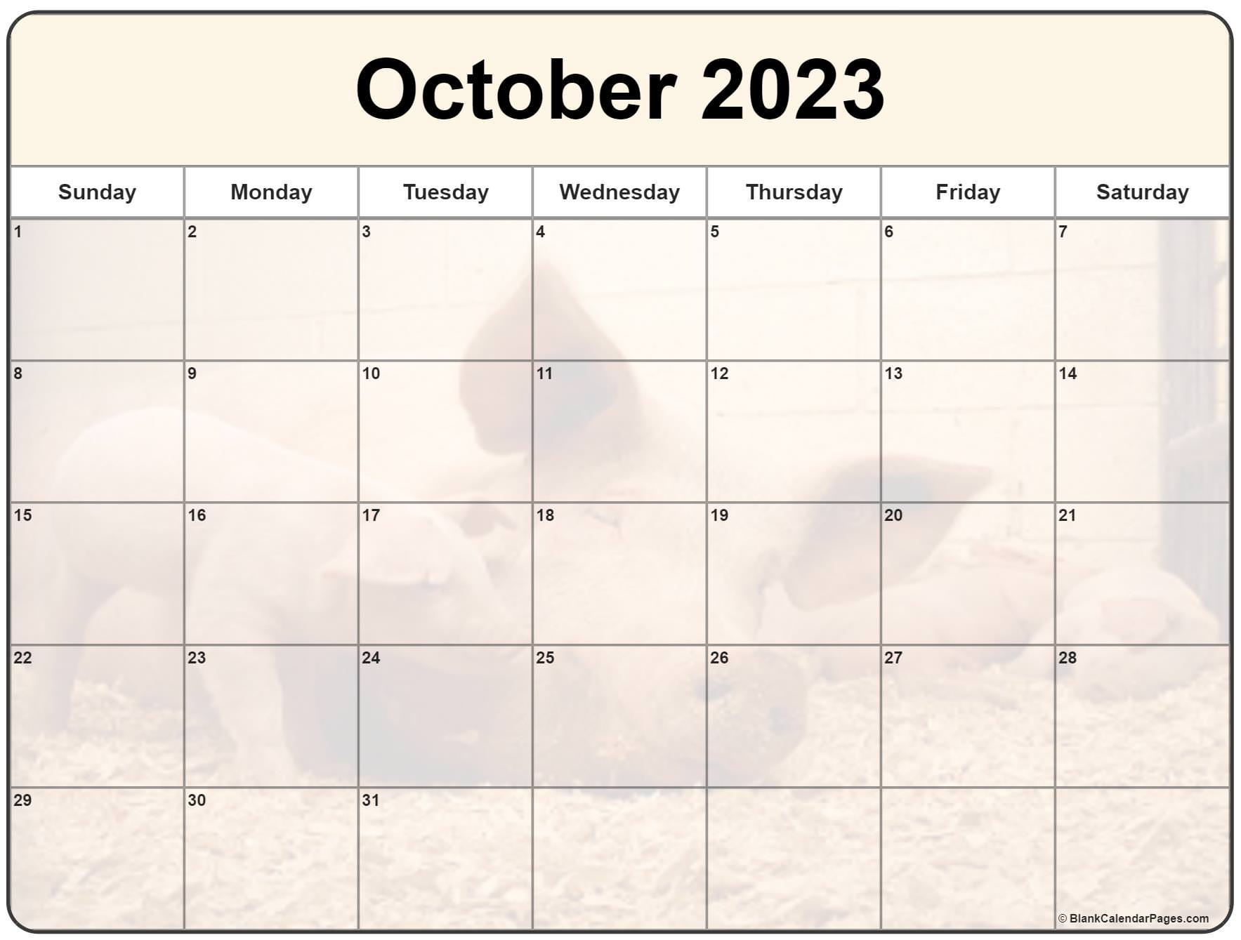 collection-of-october-2023-photo-calendars-with-image-filters