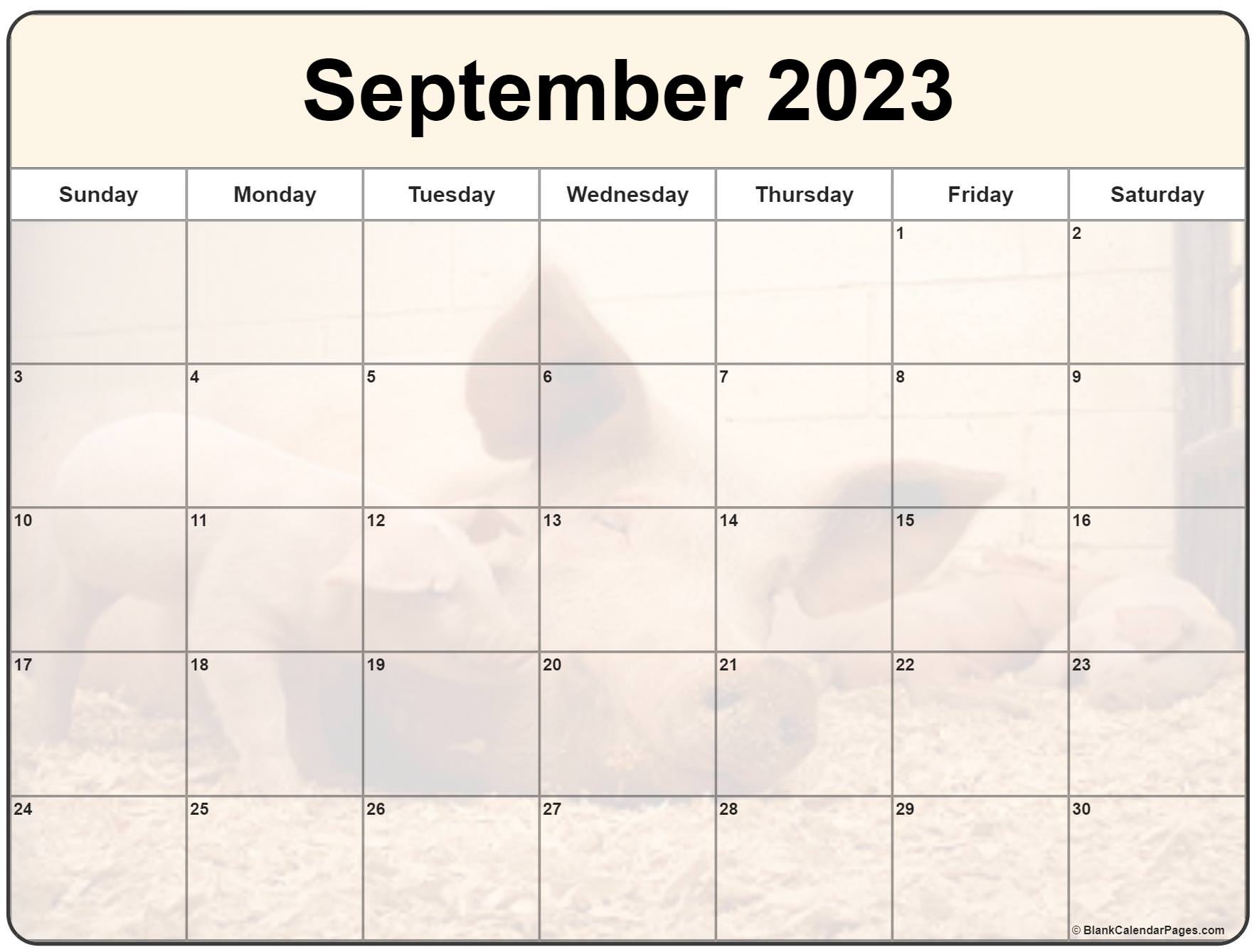 September 2023 Calendar Free Printable Calendar September 2023 