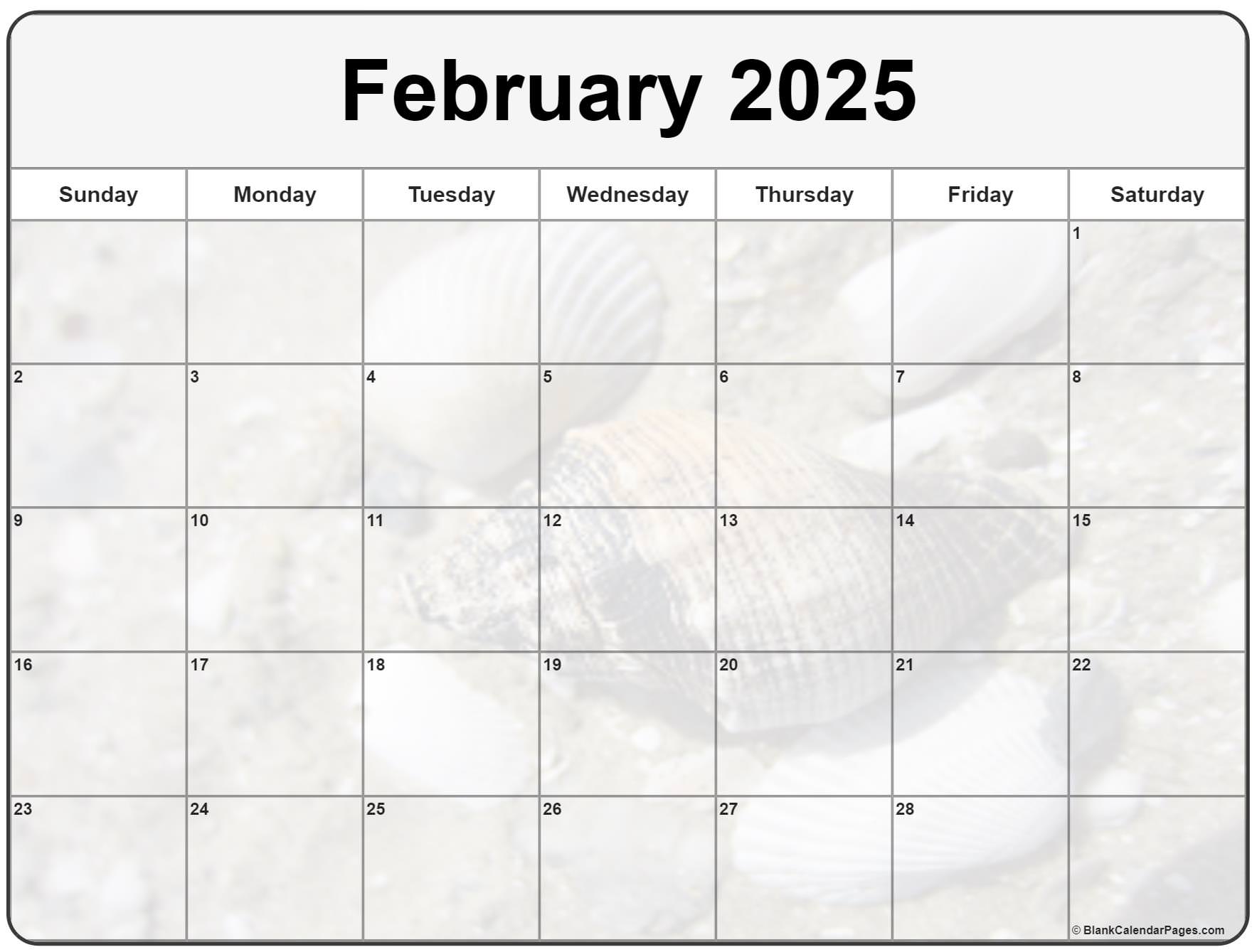 Collection of February 2025 photo calendars with image filters.