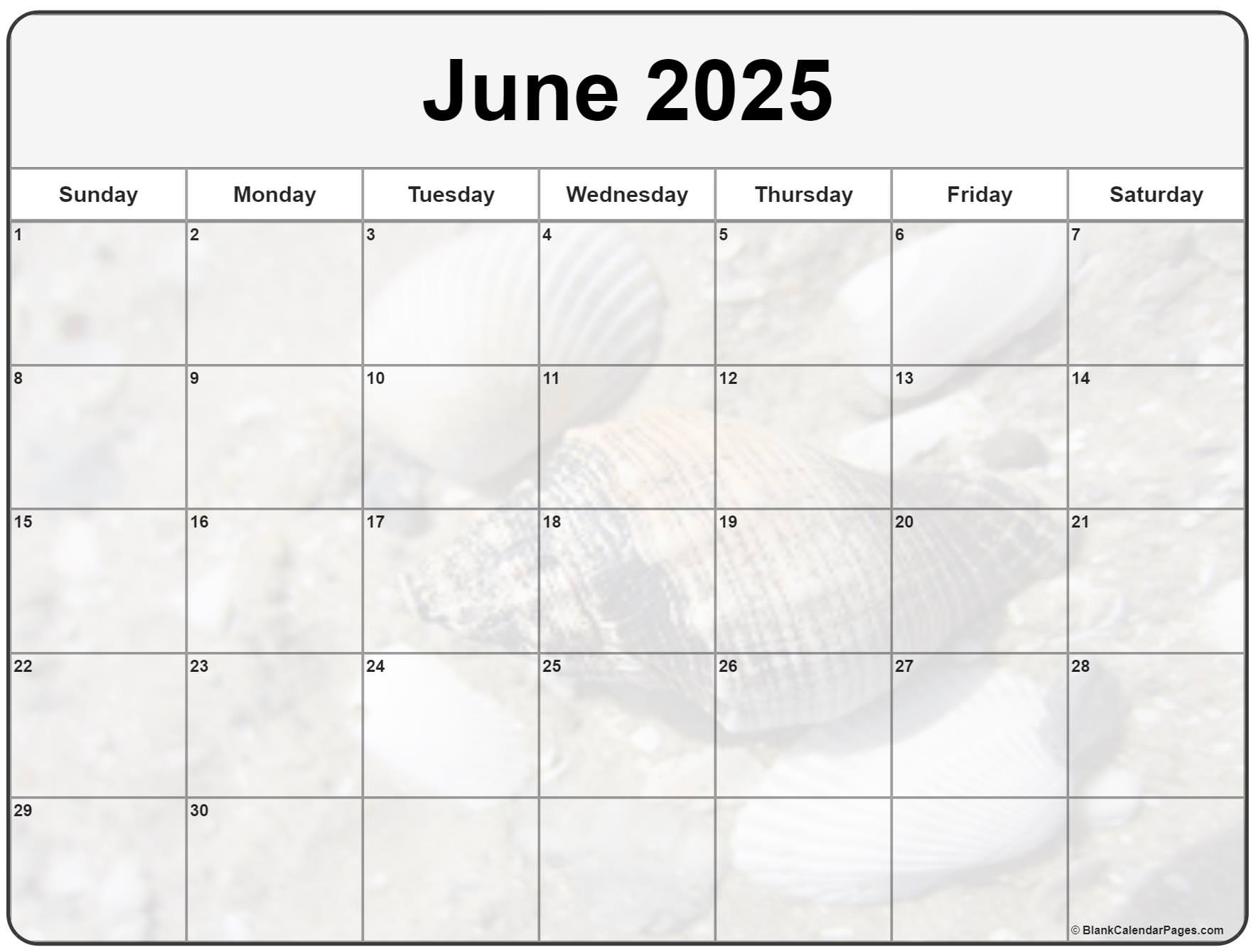 Collection of June 2025 photo calendars with image filters.