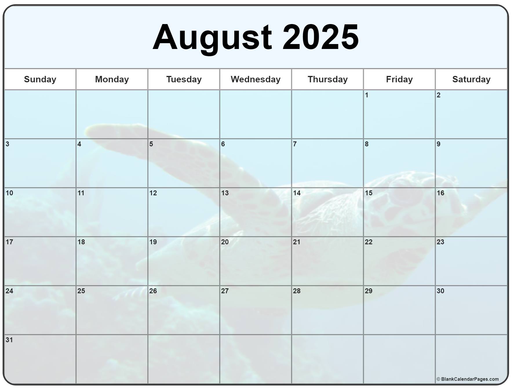 Collection Of August 2022 Photo Calendars With Image Filters 