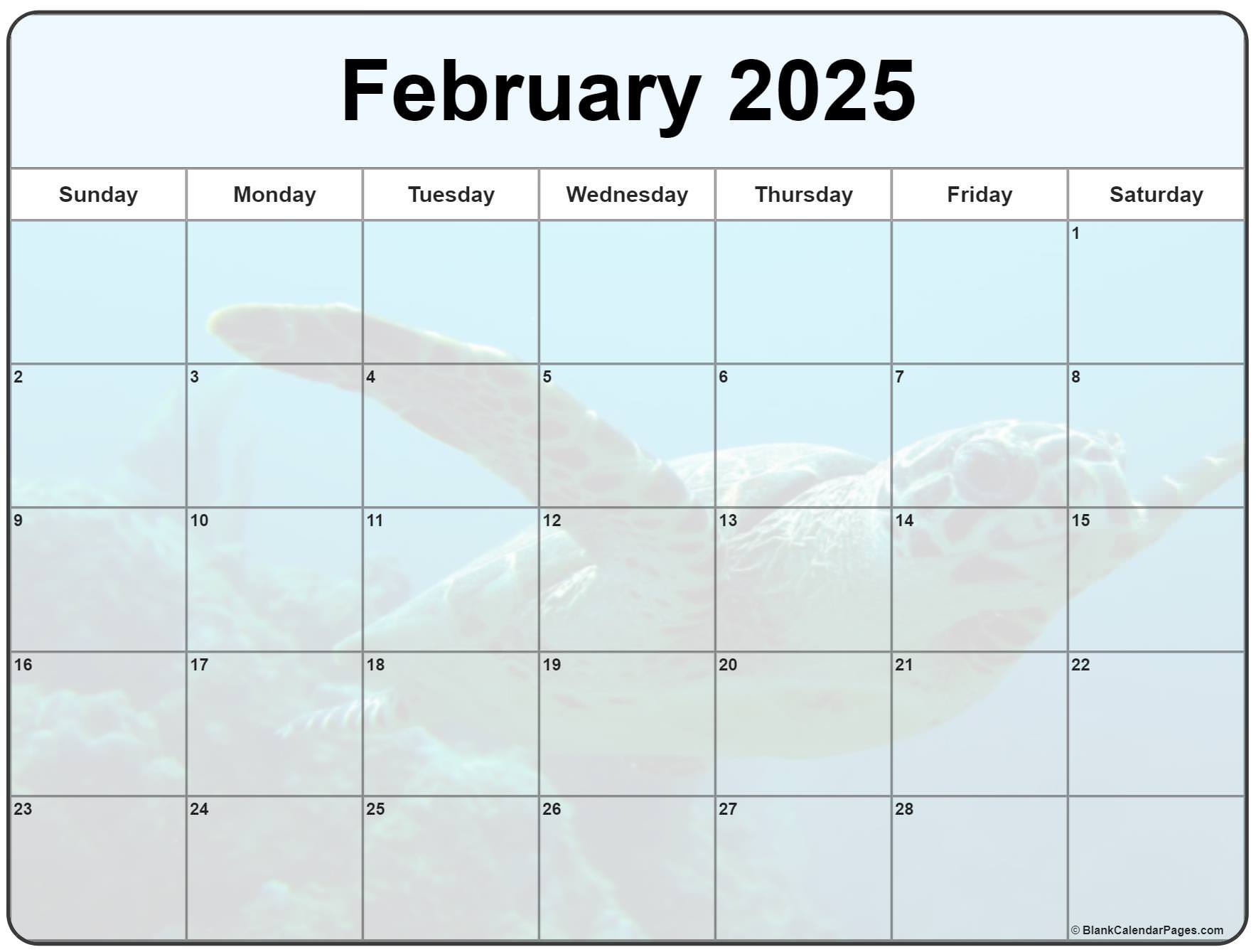 Collection Of February 2023 Photo Calendars With Image Filters.