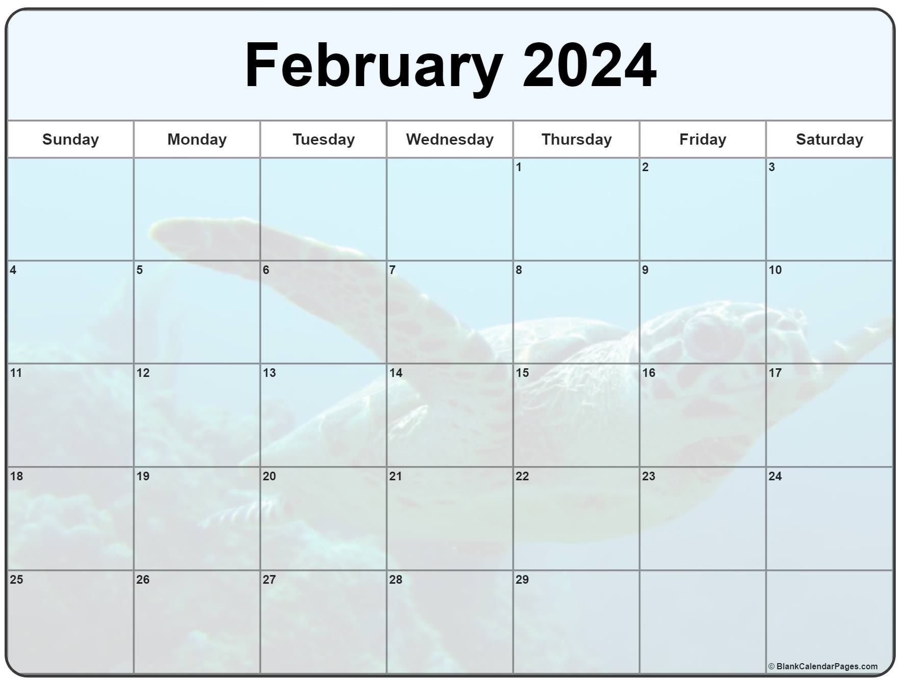 Collection of February 2024 photo calendars with image filters.