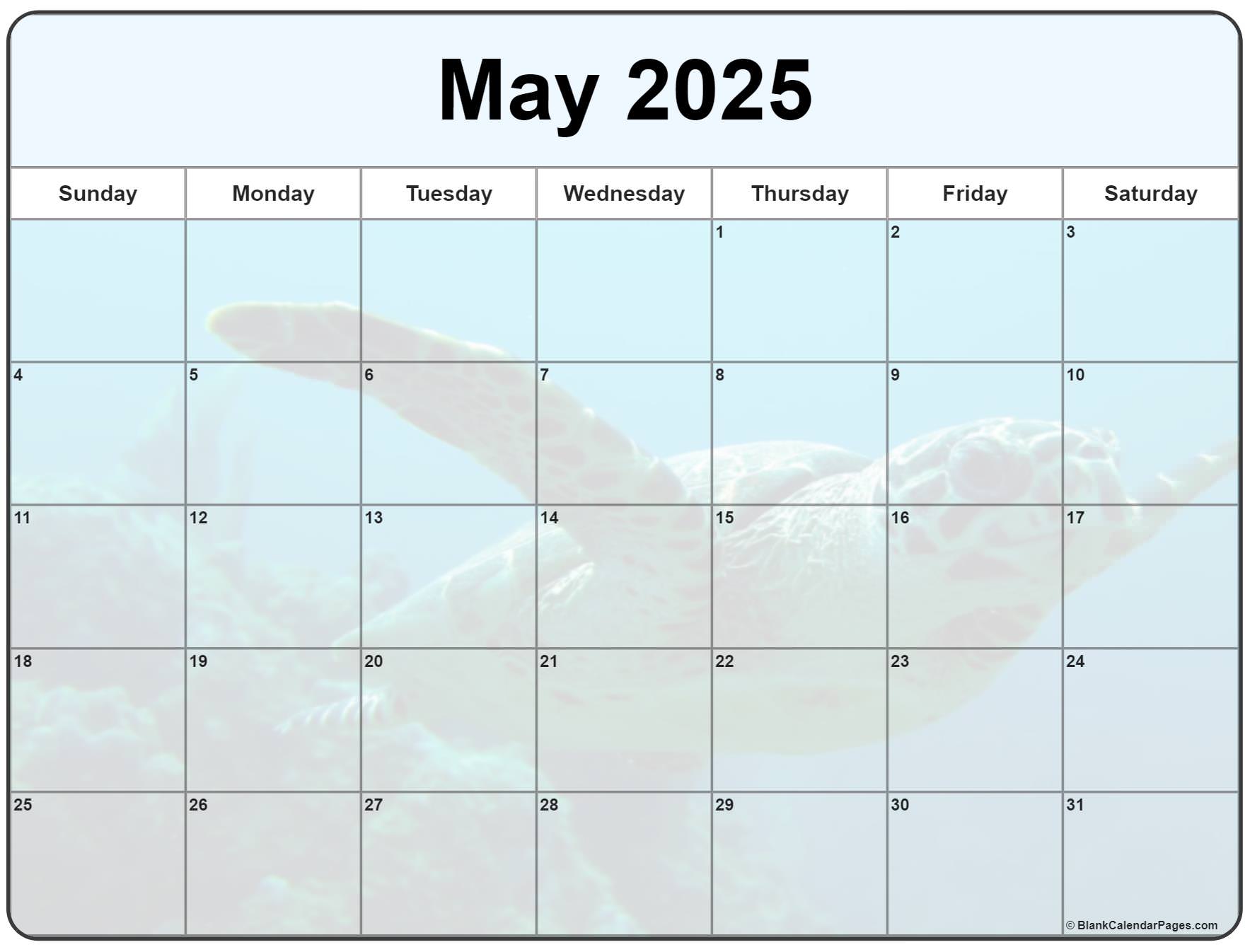 Collection of May 2025 photo calendars with image filters.